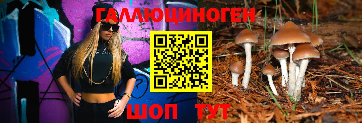 купить  цена  Вятские Поляны  Галлюциногенные грибы ЛСД 