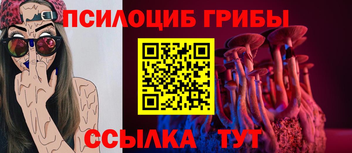 где найти наркотики  Вход с VPN  Галлюциногенные грибы мицелий  Вятские Поляны  Галлюциногенные грибы Cubensis 